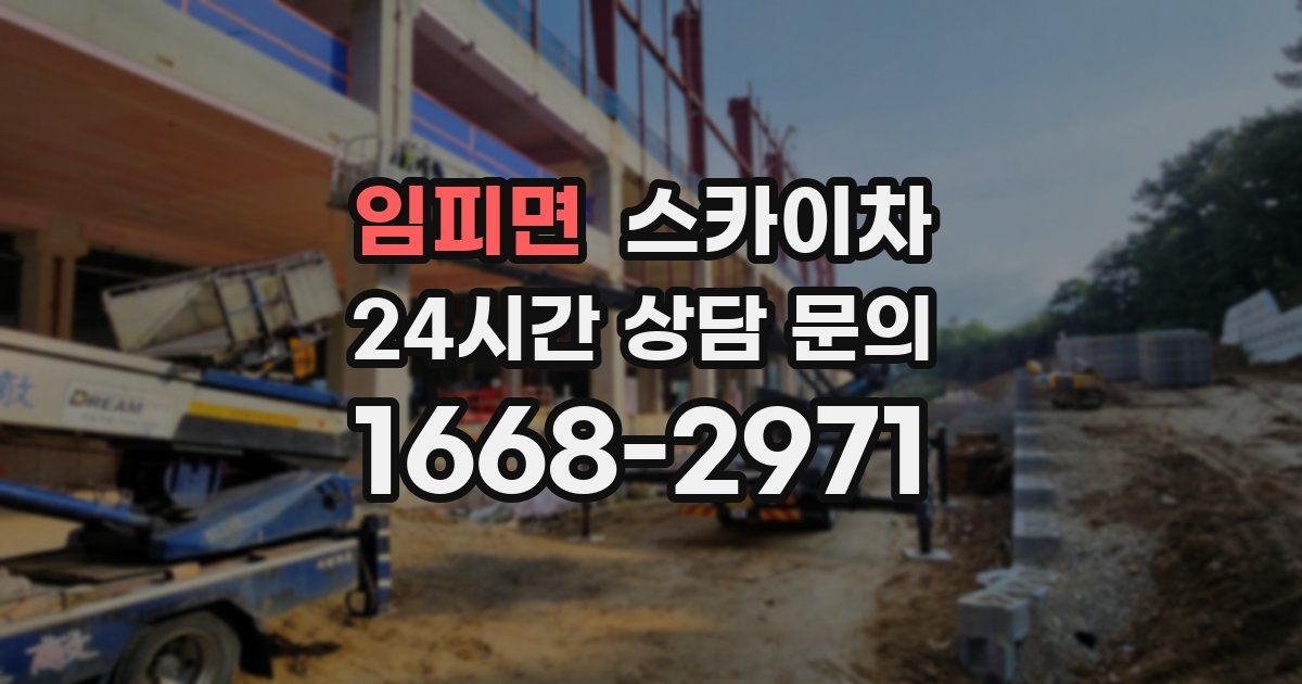 임피면 스카이차