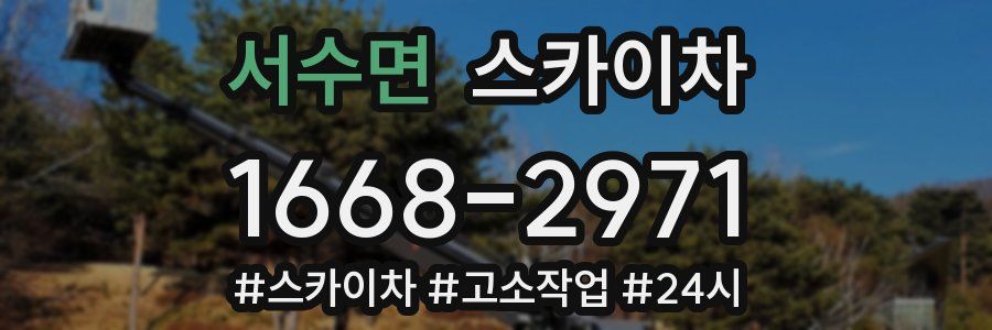 서수면 스카이차