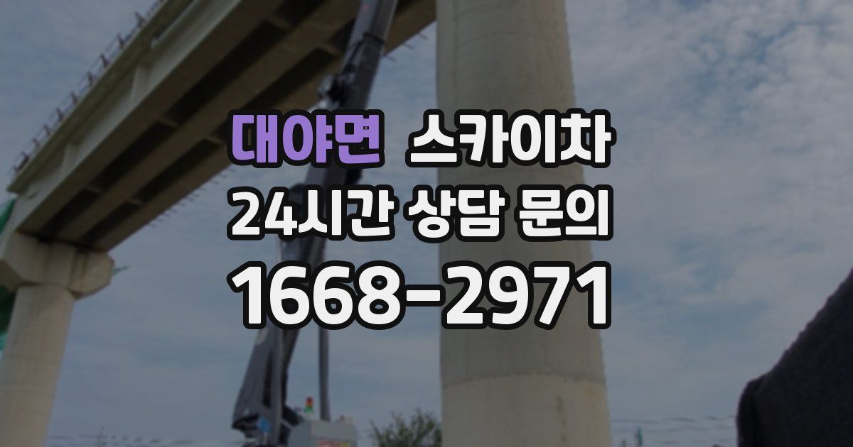 대야면 스카이차