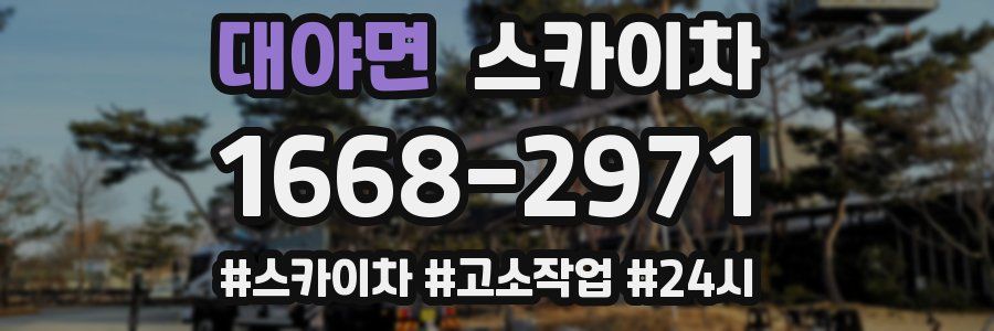 대야면 스카이차