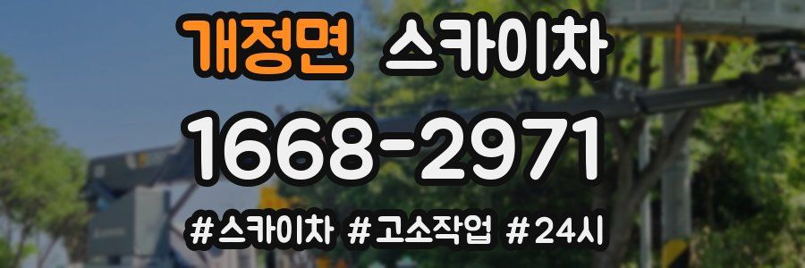 개정면 스카이차