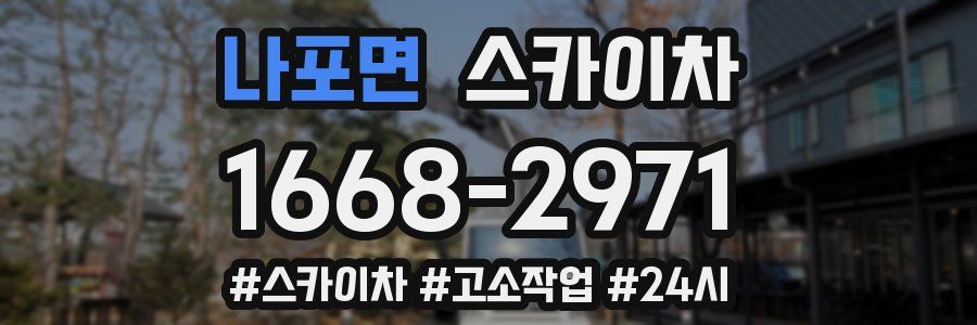 나포면 스카이차