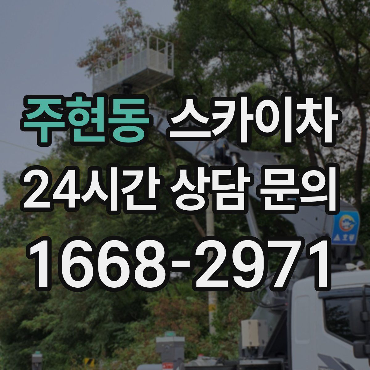 주현동 스카이차