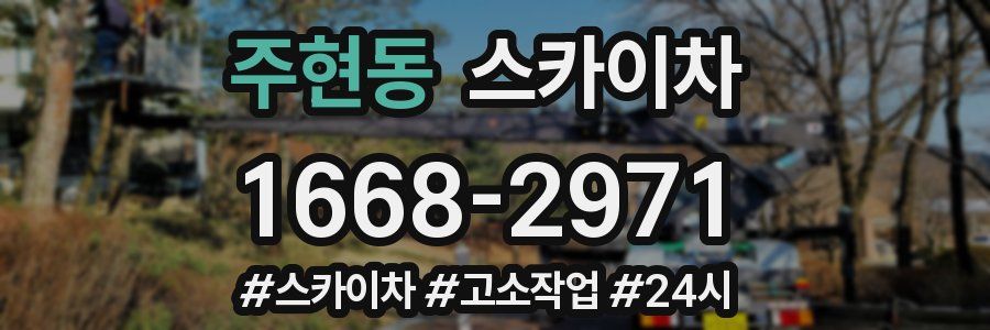 주현동 스카이차