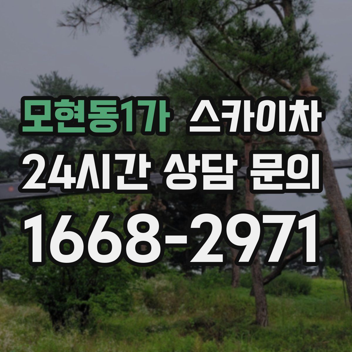 모현동1가 스카이차