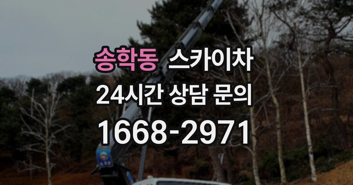 송학동 스카이차