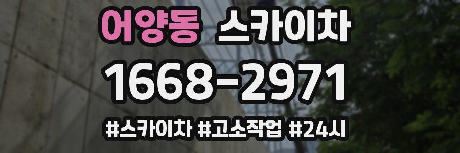 어양동 스카이차