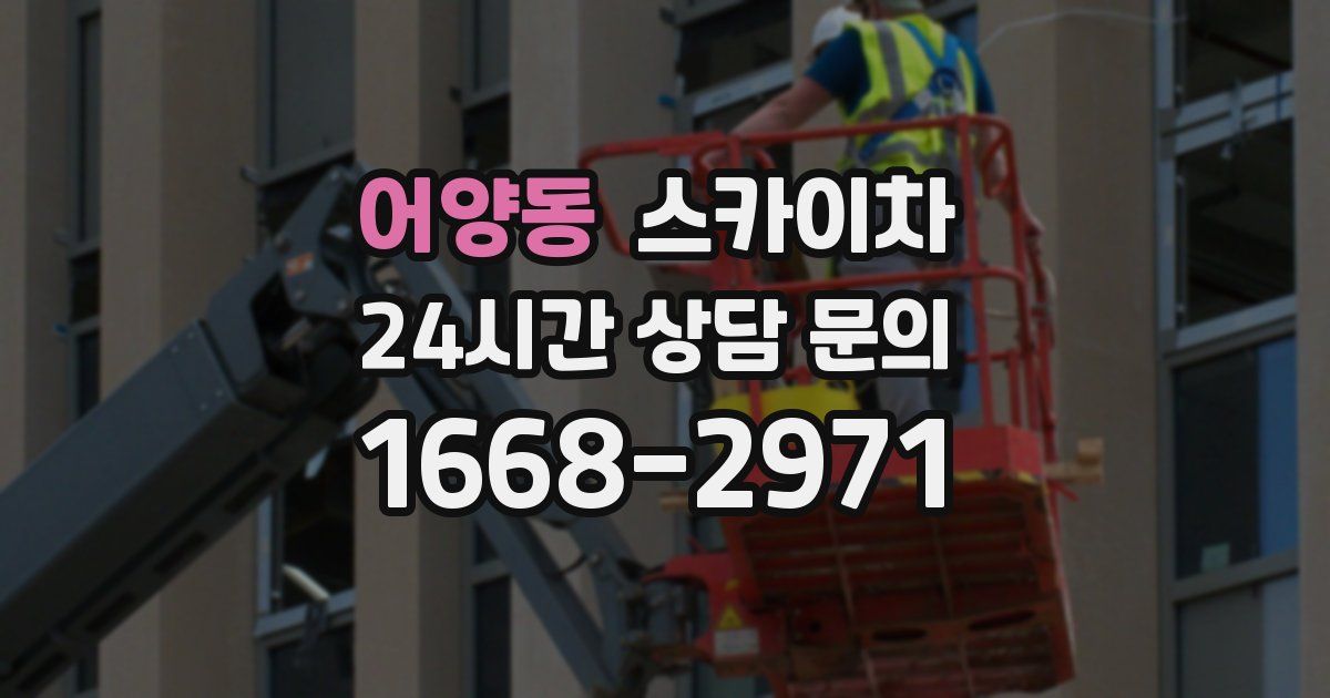 어양동 스카이차