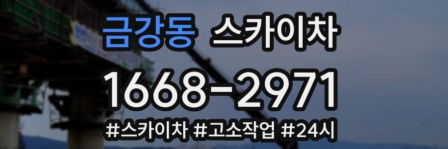 금강동 스카이차