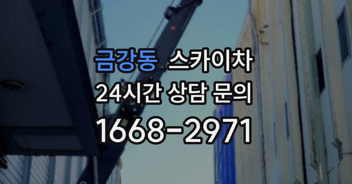 금강동 스카이차