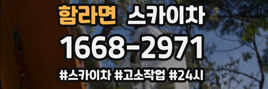 함라면 스카이차