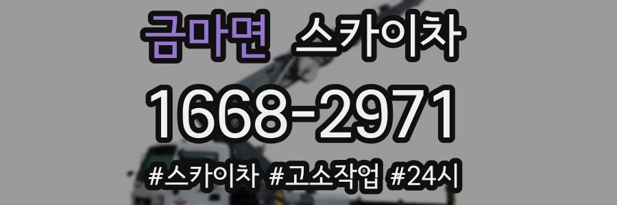 금마면 스카이차