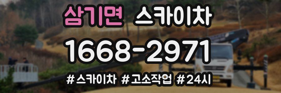 삼기면 스카이차