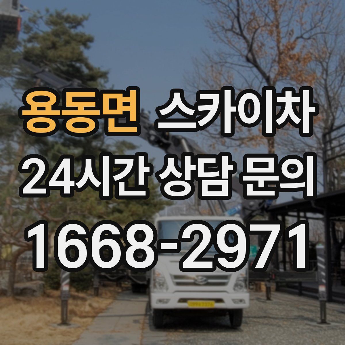 용동면 스카이차