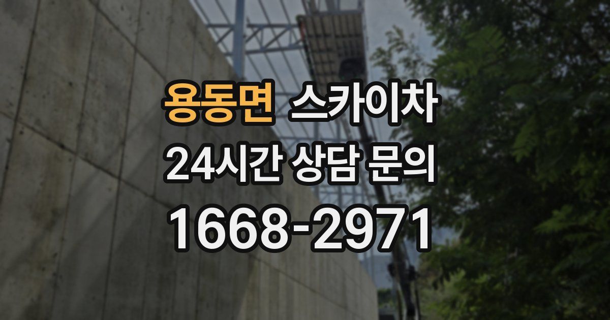 용동면 스카이차