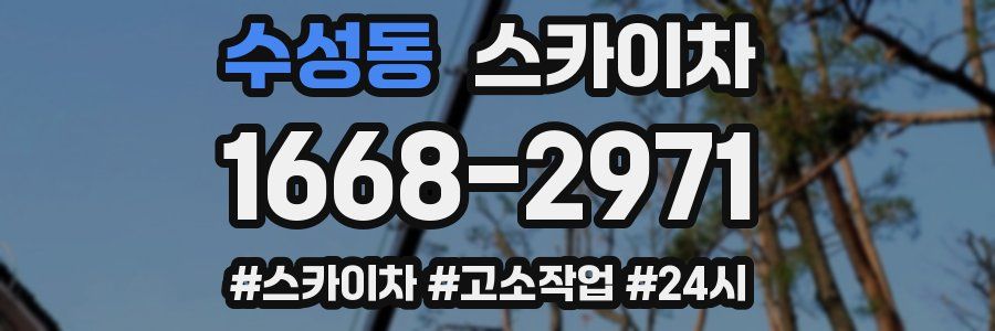 수성동 스카이차