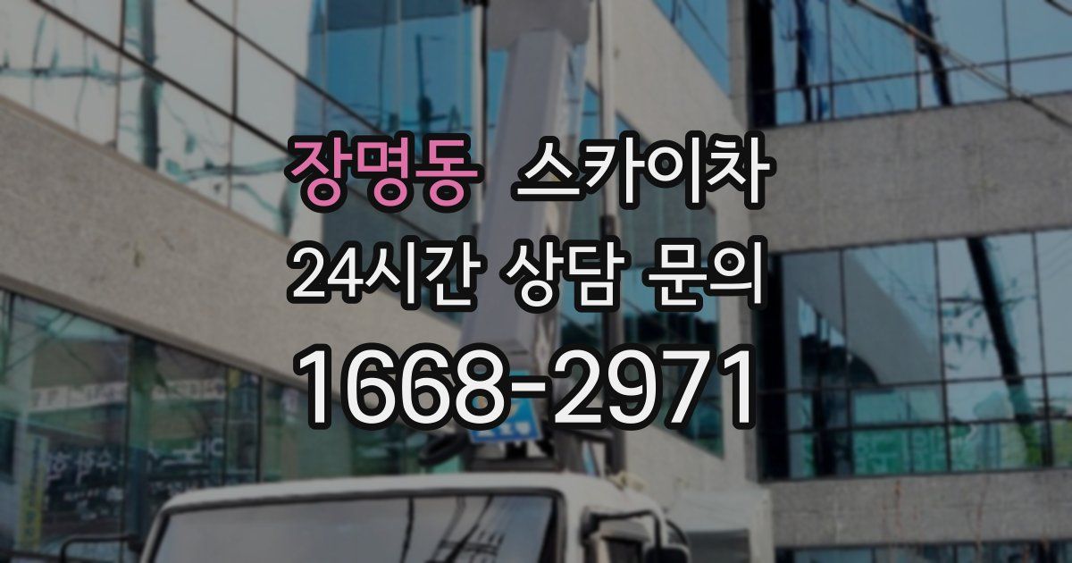 장명동 스카이차