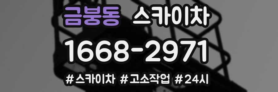 금붕동 스카이차