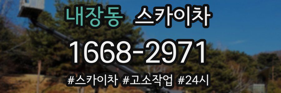 내장동 스카이차