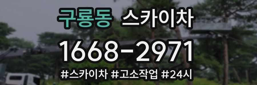 구룡동 스카이차