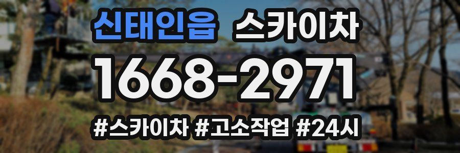 신태인읍 스카이차