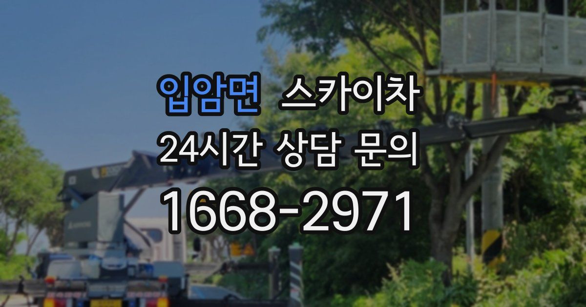 입암면 스카이차