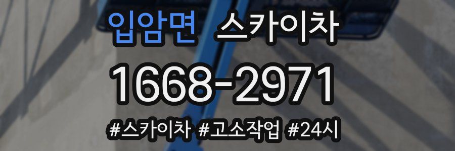 입암면 스카이차