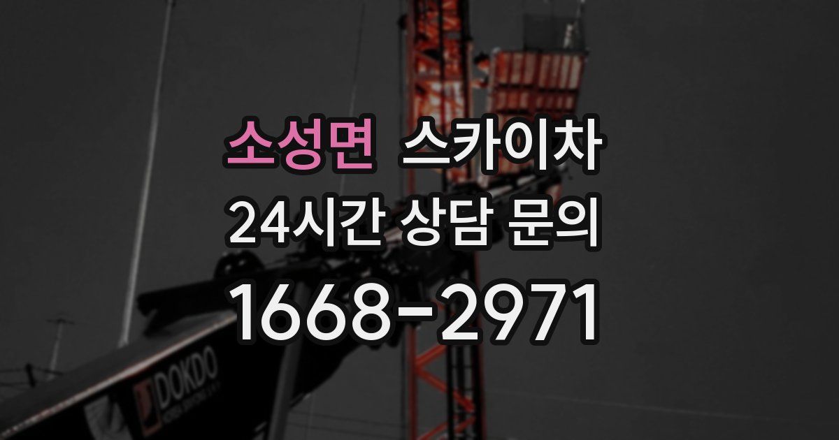 소성면 스카이차