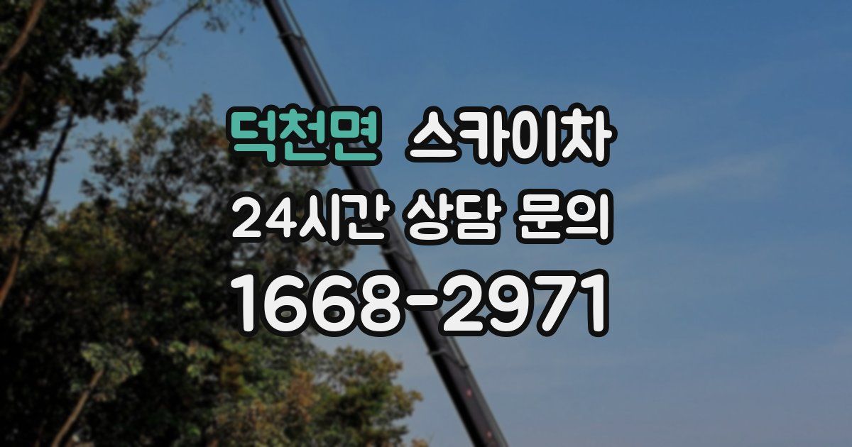 덕천면 스카이차