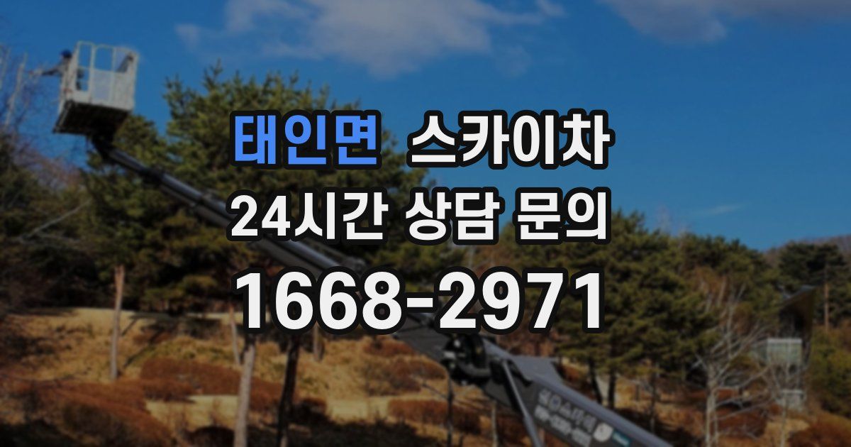 태인면 스카이차