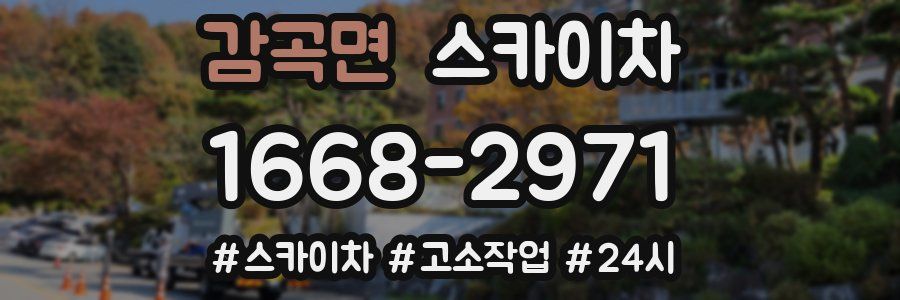 감곡면 스카이차