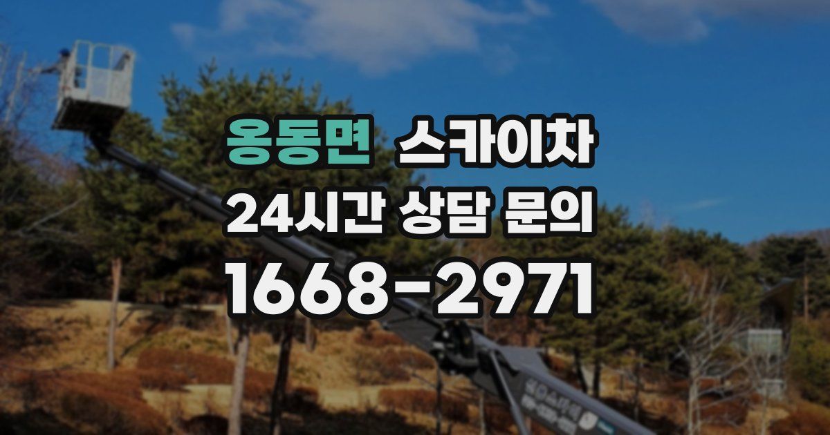 옹동면 스카이차