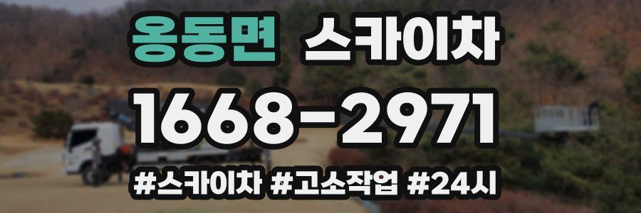 옹동면 스카이차