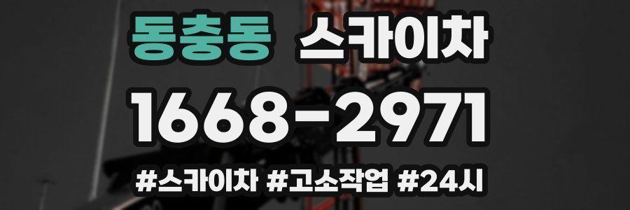 동충동 스카이차