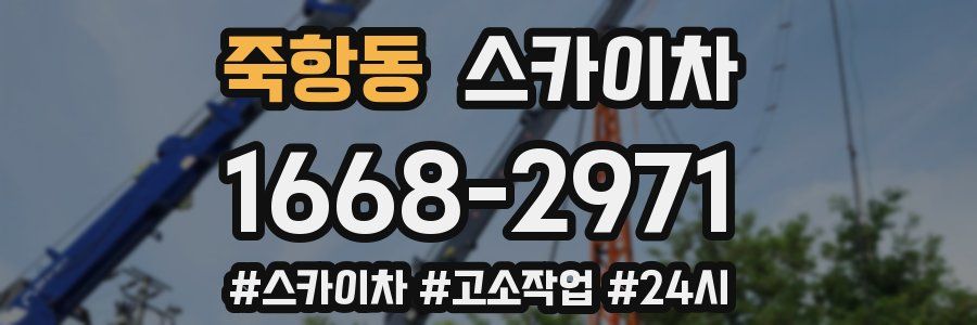 죽항동 스카이차