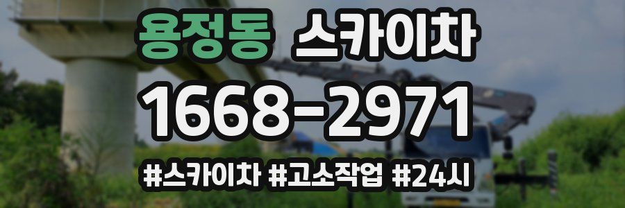 용정동 스카이차