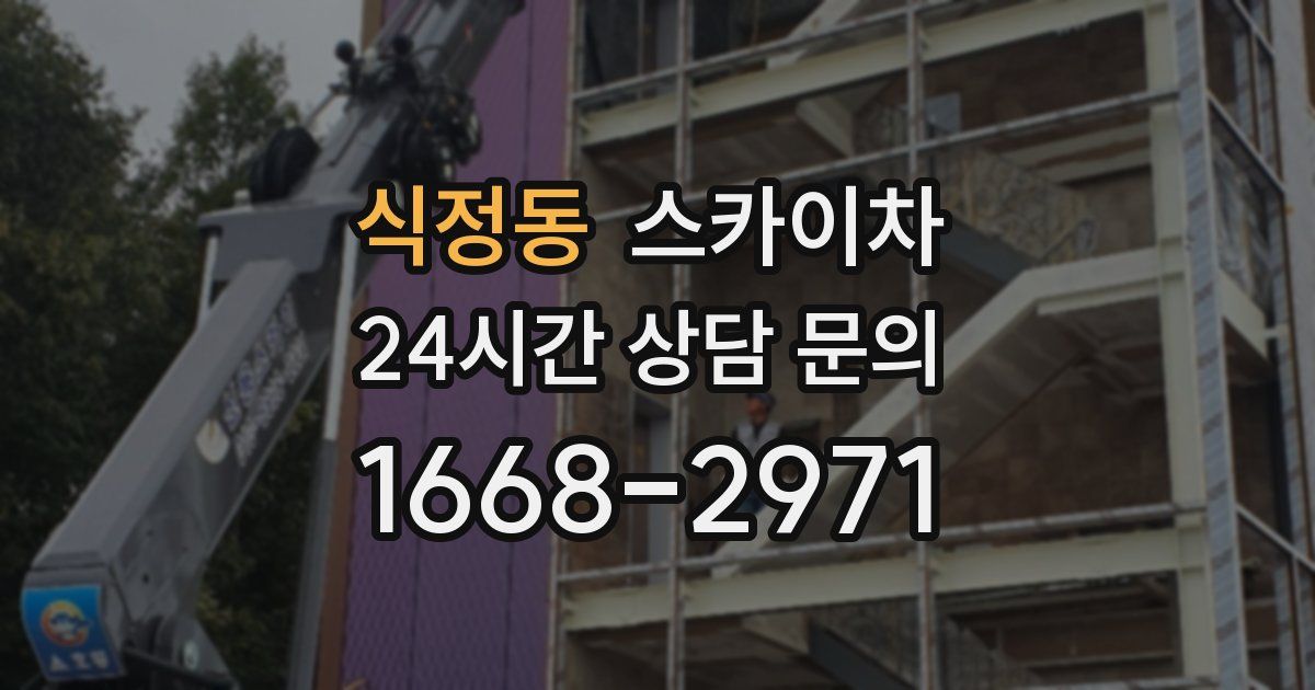 식정동 스카이차