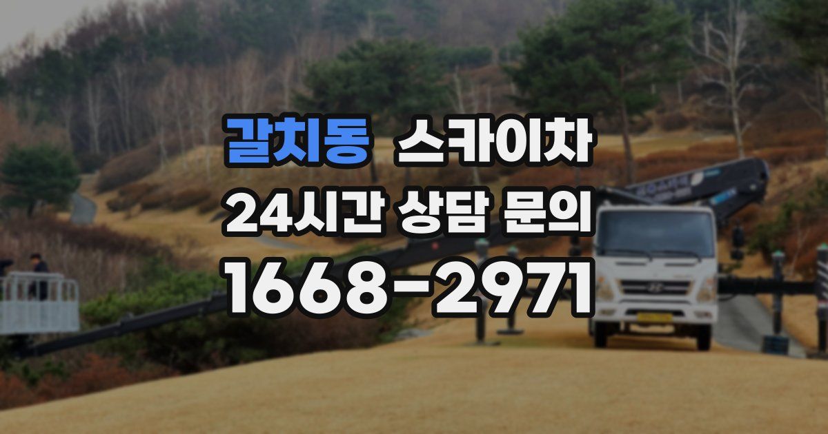 갈치동 스카이차