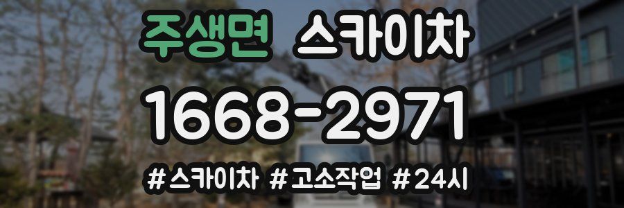 주생면 스카이차