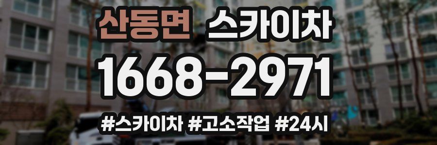 산동면 스카이차