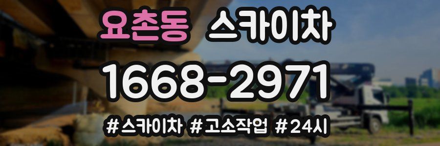 요촌동 스카이차