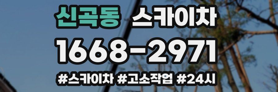 신곡동 스카이차