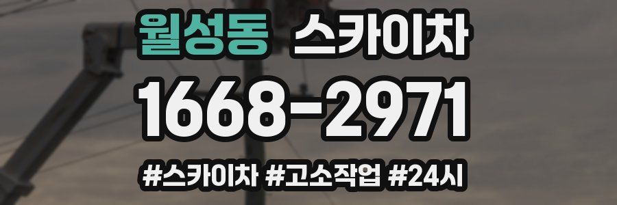 월성동 스카이차