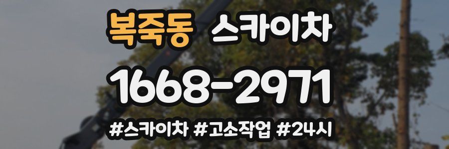 복죽동 스카이차