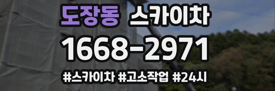 도장동 스카이차