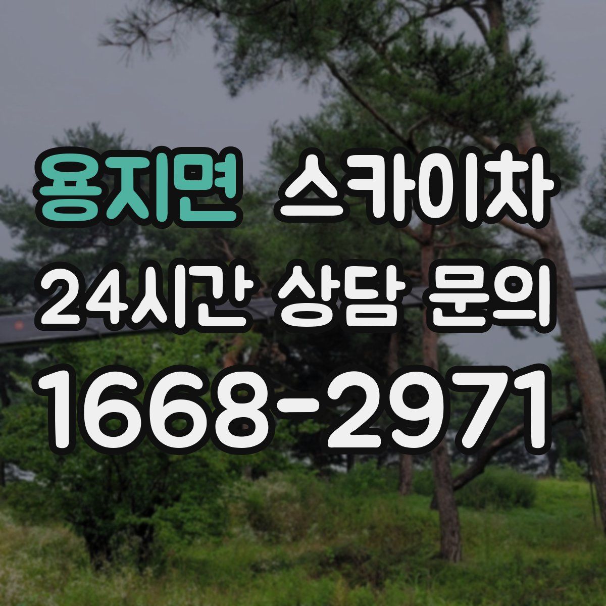 용지면 스카이차