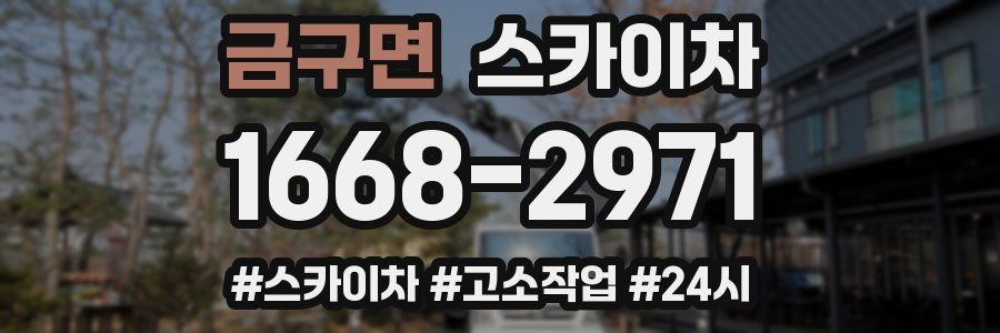 금구면 스카이차