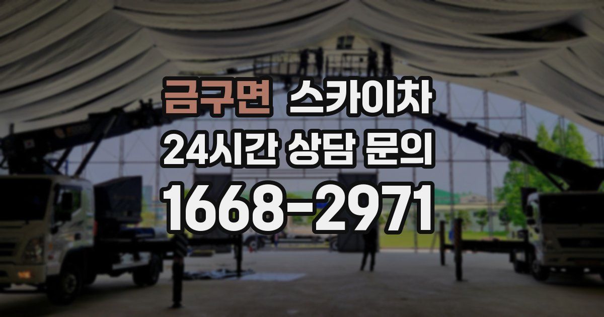 금구면 스카이차