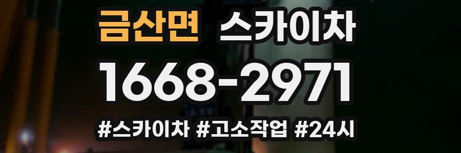 금산면 스카이차