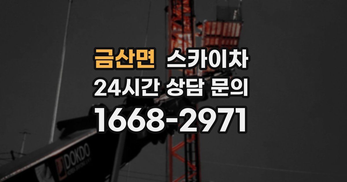 금산면 스카이차